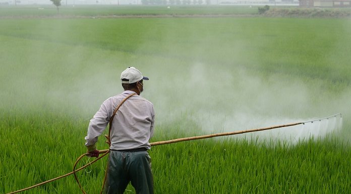 proibicao de agrotoxicos em sc divide opinioes