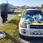 Quatro pessoas que roubaram comercio em Ingleses sao presas na SC 401