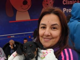 mutirao de castracao em sao jose mais de 7 mil animais