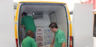 ceasa doa 700 toneladas de alimentos grande florianopolis