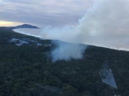 incendio no parque do rio vermelho florianopolis - cbm sc