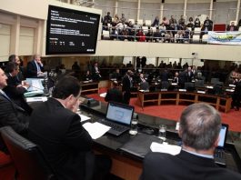 pautas da alesc no semestre