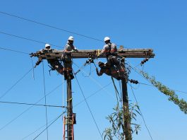 concurso celesc eletrotecnico eletricista cadastro de reserva