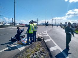 homem atropelado via expressa florianopolis - albano aquino csc