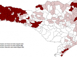 Crescem os focos de Aedes aegypti nas 94 cidades catarinenses infestadas mapa cidades catarinenses infestadas pelo aedes aegypti