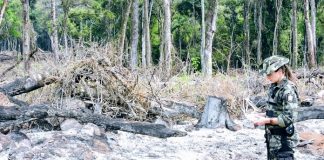 operacao mata atlantica em pe 3 fiscalizacao - pm ambiental