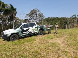 operacao mata atlantica em pe 3 pm ambiental sc fiscalizacao