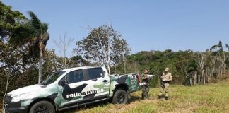 operacao mata atlantica em pe 3 pm ambiental sc fiscalizacao