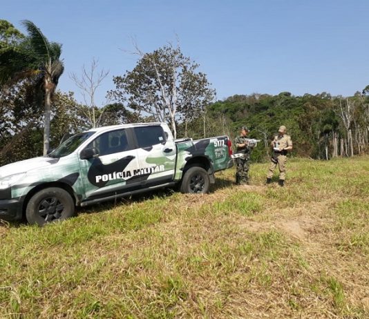 operacao mata atlantica em pe 3 pm ambiental sc fiscalizacao