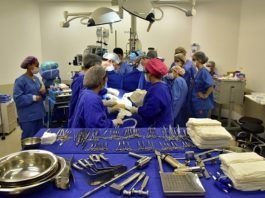 saude sc pode ter menos repasses federais 2020 - foto paulo goeth