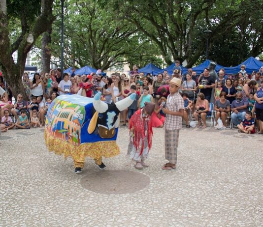 boi de mamao na feira da freguesia de sao jose - pmsj