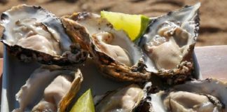 close em pratos de ostras nas conchas com limões cortados