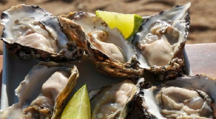 close em pratos de ostras nas conchas com limões cortados
