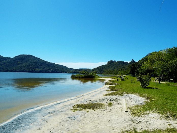 lagoa do peri intoxicada - lafic ufsc - Tatiana Grapsas