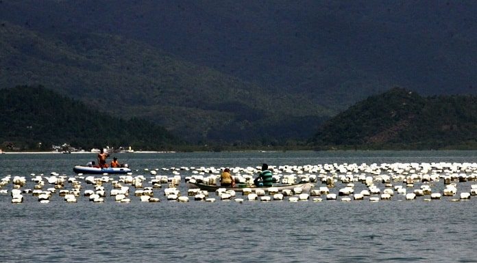 área com boias de maricultura no mar e dois pequenos barcos com pessoas no meio