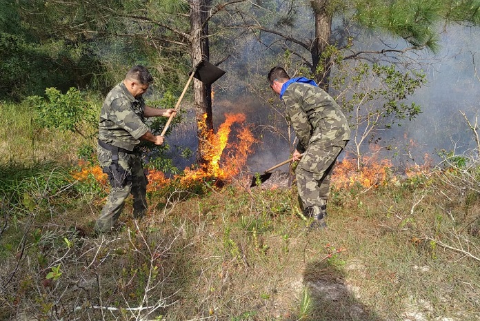 novo incendio no parque estadual da serra do tabuleiro palhoca - pm ambiental (1)