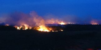 novo incendio no parque estadual da serra do tabuleiro palhoca - pm ambiental (2)