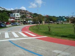 pista de corrida sem ninguém no parque de coqueiros e construções ao fundo