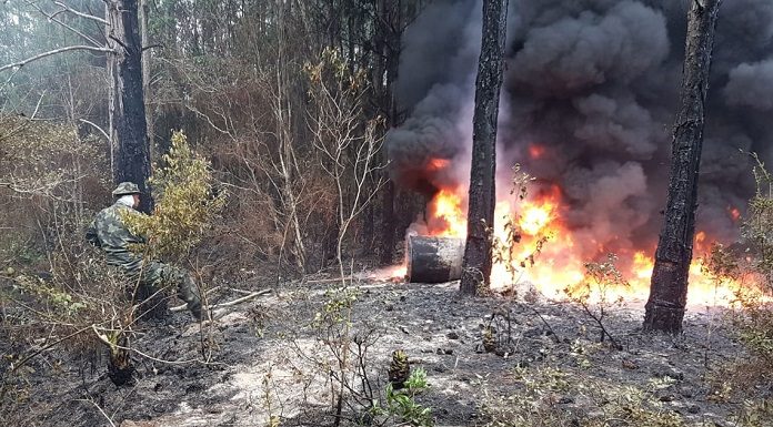 tambor em chamas no parque estadual da serra do tabuleiro
