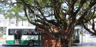 ônibus da empresa jotur parado em ponto de ônibus de tijolos onde há uma grande árvore atrás em praça