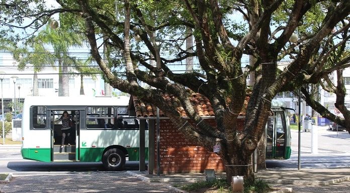ônibus da empresa jotur parado em ponto de ônibus de tijolos onde há uma grande árvore atrás em praça