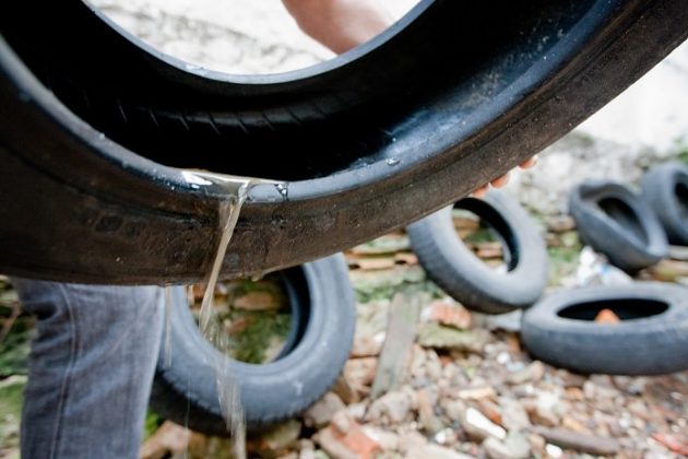 pessoa segura pneu com água escorrendo em terreno cheio de outros pneus espalhados