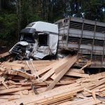 carga de madeira caída sobre o chão ao lado de caminhão com a frente destruída