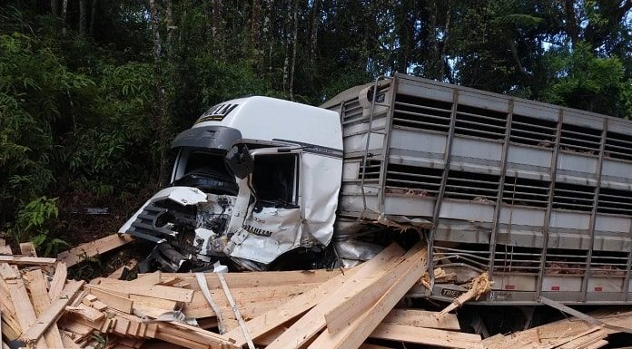 carga de madeira caída sobre o chão ao lado de caminhão com a frente destruída