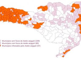 Mapa das regiões mais infestadas de focos do mosquito Aedes aegypti em Santa Catarina