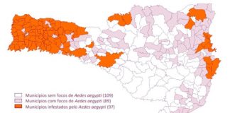 Mapa das regiões mais infestadas de focos do mosquito Aedes aegypti em Santa Catarina