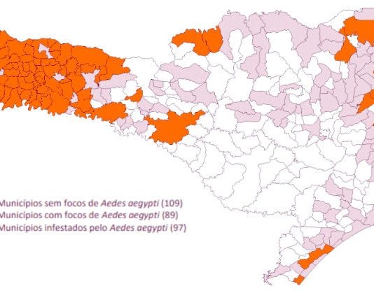 A uma semana do verão, SC tem 97 cidades infestadas de Aedes aegypti Mapa das regiões mais infestadas de focos do mosquito Aedes aegypti em Santa Catarina