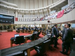 Na Alesc: concurso da PM, pedágio ambiental e CPI da Ponte Plenário Osni Régis, da Alesc, com alguns deputados