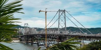 ponte vista entre palmeiras a partir da cabeceira continental