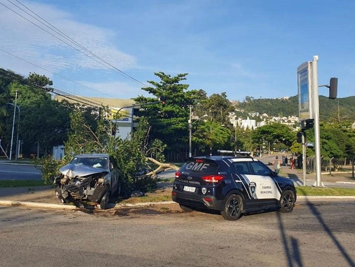 carro destruído ao lado de árvore sobre o canteiro e uma viatura da gmf ao lado na via