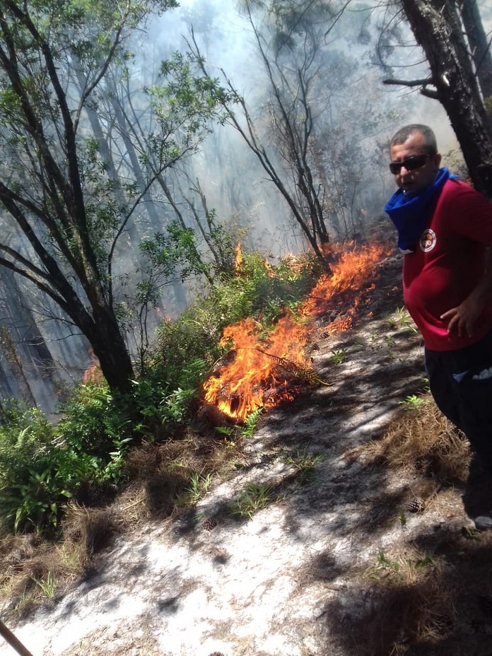 fogo no chão em área de mata e bombeiro ao lado, com fumaça ao fundo