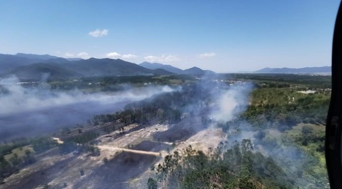 foto aérea de grande área de mata com muita fumaça e queimada