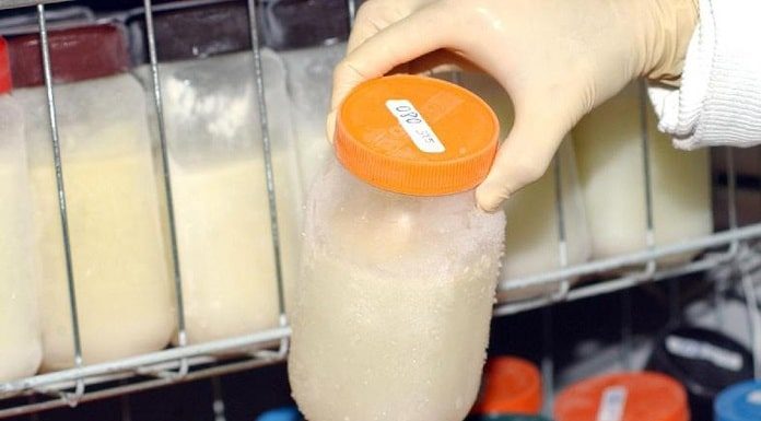 pessoa com luva cirúrgica segura pote de vidro cheio de leite em frente a prateleiras de freezer cheias de outros potes com leite