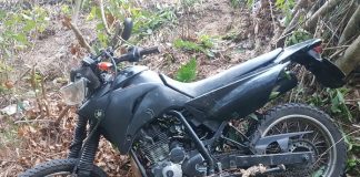 moto caída no chão de folhas secas