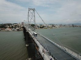 ponte vista de cima com ônibus municipal passando