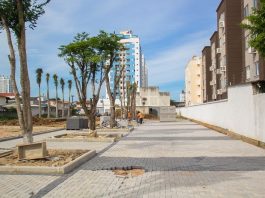 área com pavimento em paver do parque ao lado de longo muro e algumas árvores