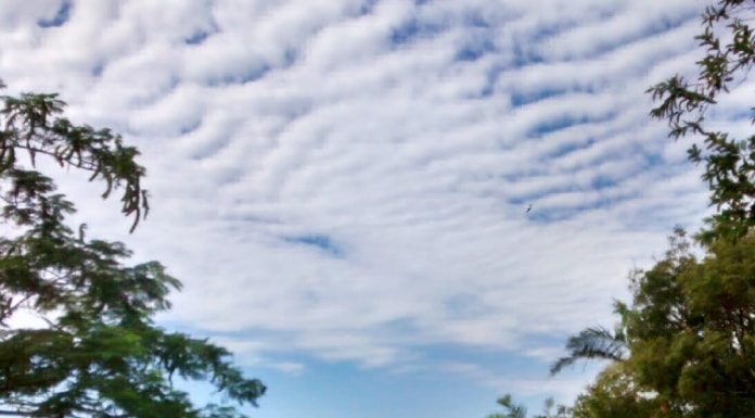 nuvens brancas com árvores na frente