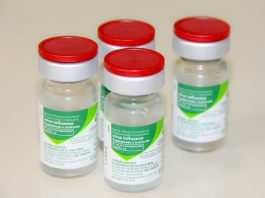 Campanha acaba com metade do público vacinado contra gripe e doses seguem disponíveis quatro doses de vacina
