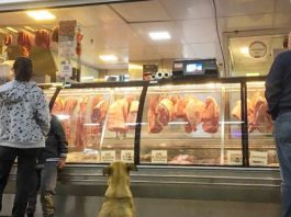 cachorro sentado na frente de balção de açougue, com outras pessoas ao lado