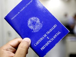 pessoa segurando carteira de trabalho e previdência social