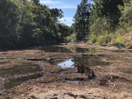 leito de rio em área rural praticamente seco