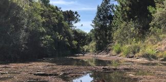 leito de rio em área rural praticamente seco