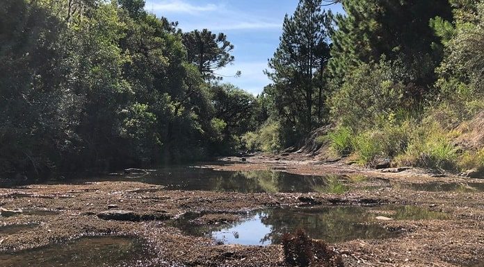 leito de rio em área rural praticamente seco