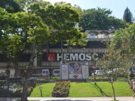 frente do prédio do hemosc em florianópolis com muitas árvores na frente