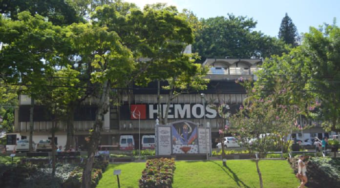 frente do prédio do hemosc em florianópolis com muitas árvores na frente