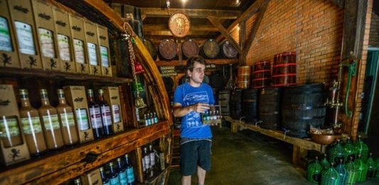 Luiz Alves, um gigante adormecido à espera de duas indicações geográficas homem segura garrafa de cachaça ao lado de prateleiras com outras garrafas